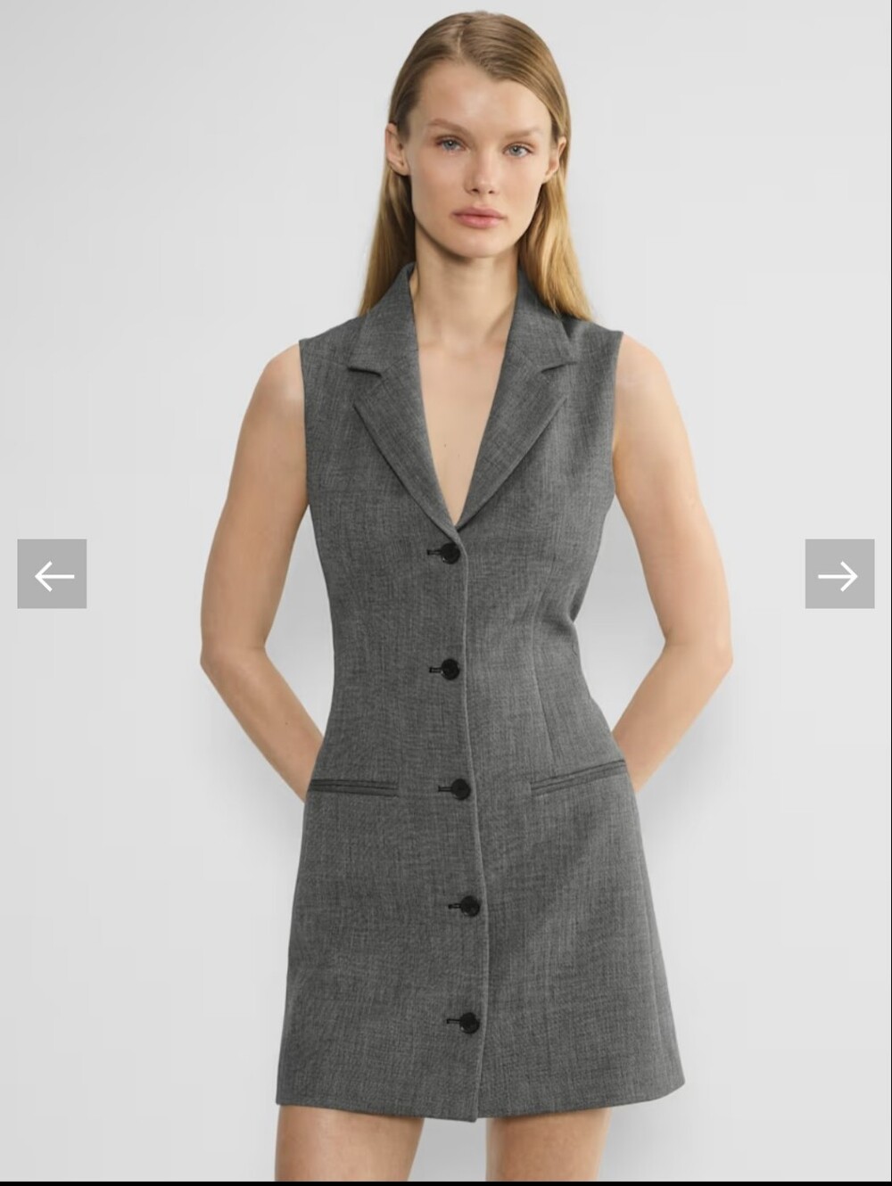 Aritzia Babaton Mastermind Mini Dress